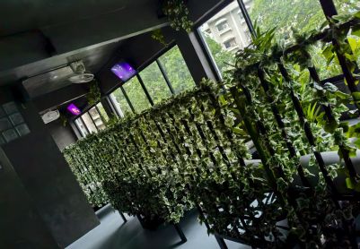 幽暗电影厅！荧光环嘉宾！探访曼谷本地圈桑拿Chill Out Bangkok