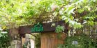 NAM SPA（主打专业按摩）
